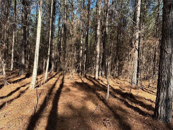 1107 Larmon Forks Road , Dahlonega, GA 30533