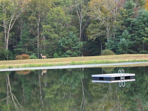 Split Rock Drive , Barryville, NY 12719