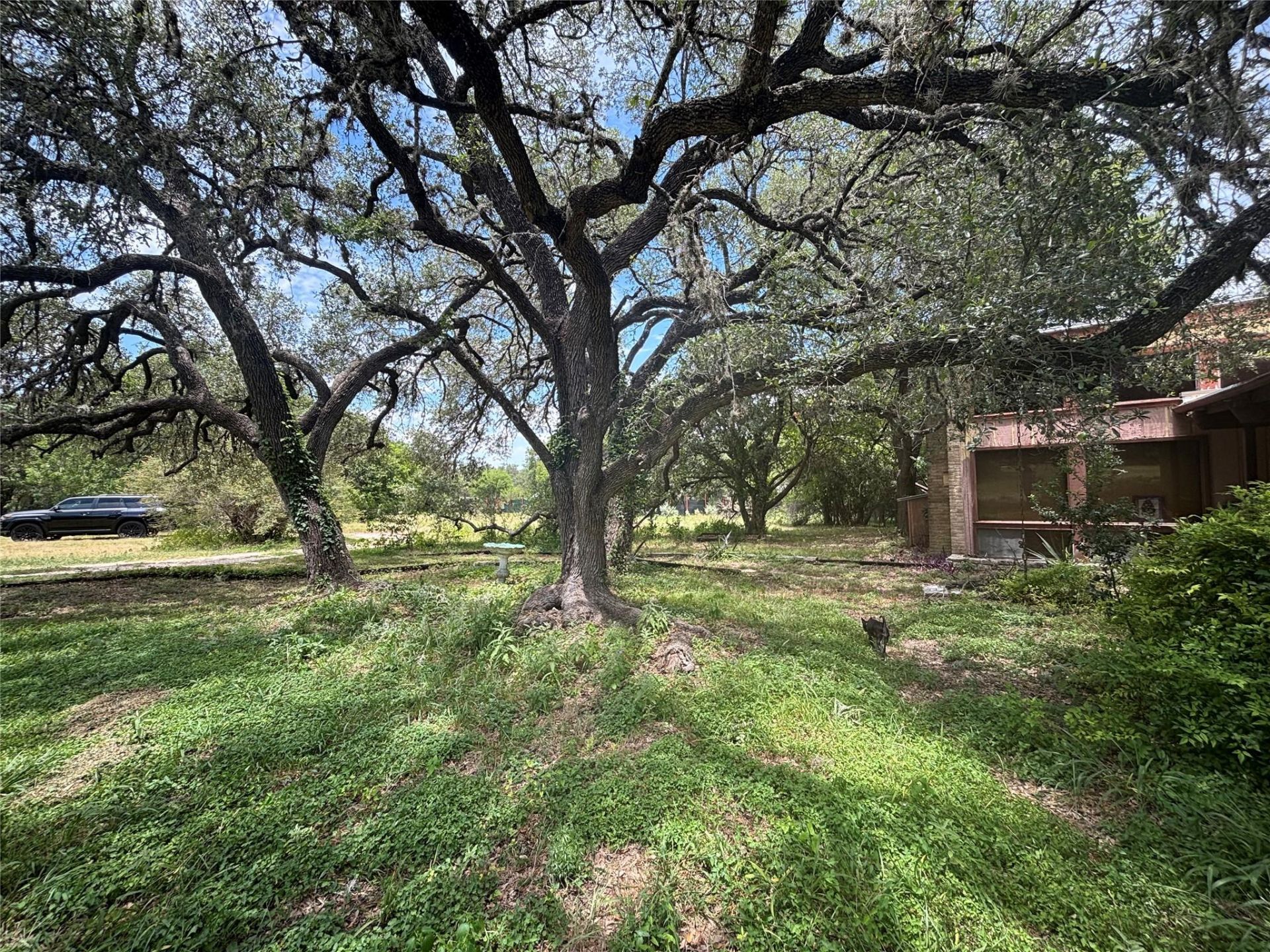 808 Indian Tree Trl, Austin, TX 78748 Main Photo