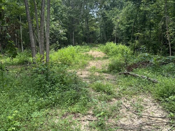 Gravel Springs Road, Senatobia, MS 38668