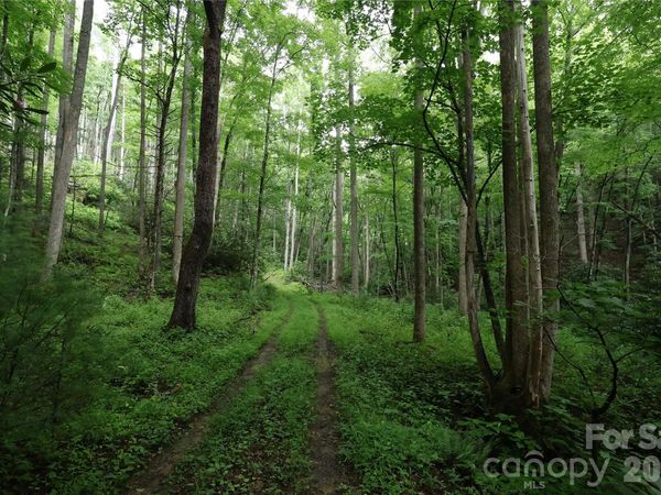 TBD Blowing Rock Road , Lenoir, NC 28645