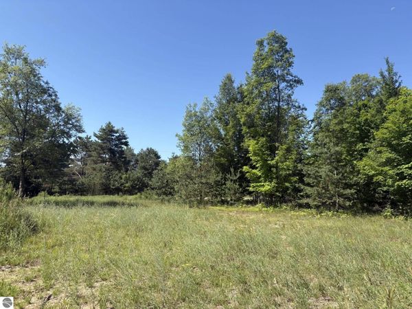 5551 9 Road N, Mesick, MI 49668