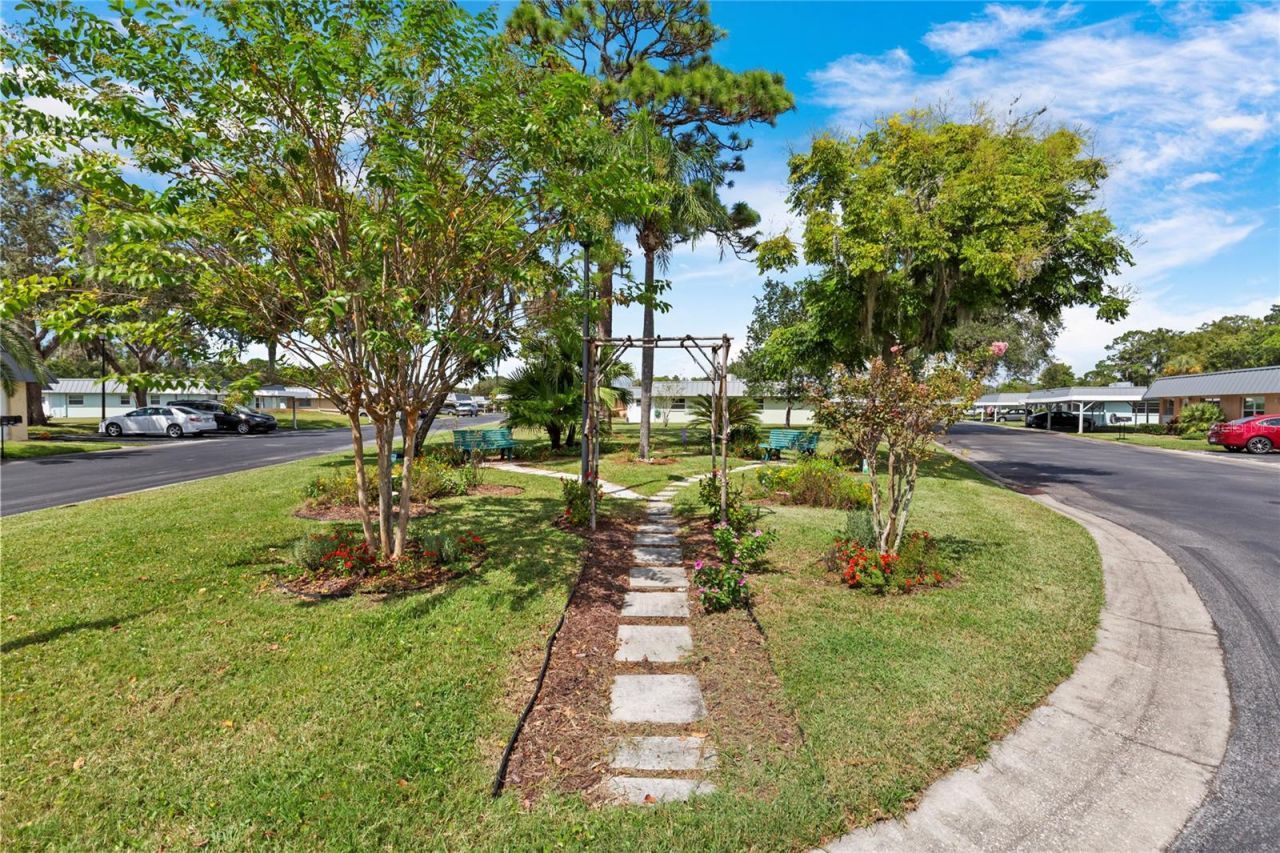 11730 Carissa Lane , New Port Richey, FL 34654 Photo