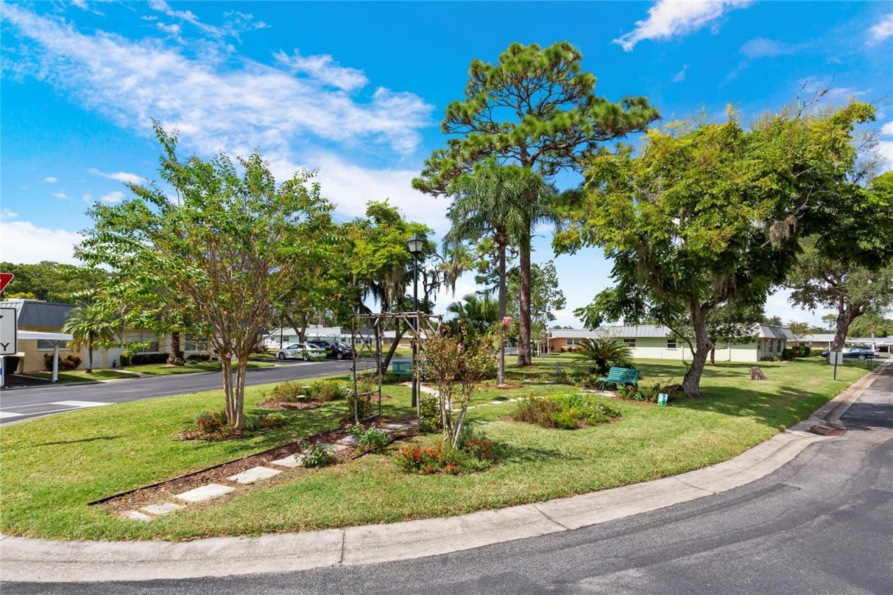 11730 Carissa Lane , New Port Richey, FL 34654 Photo