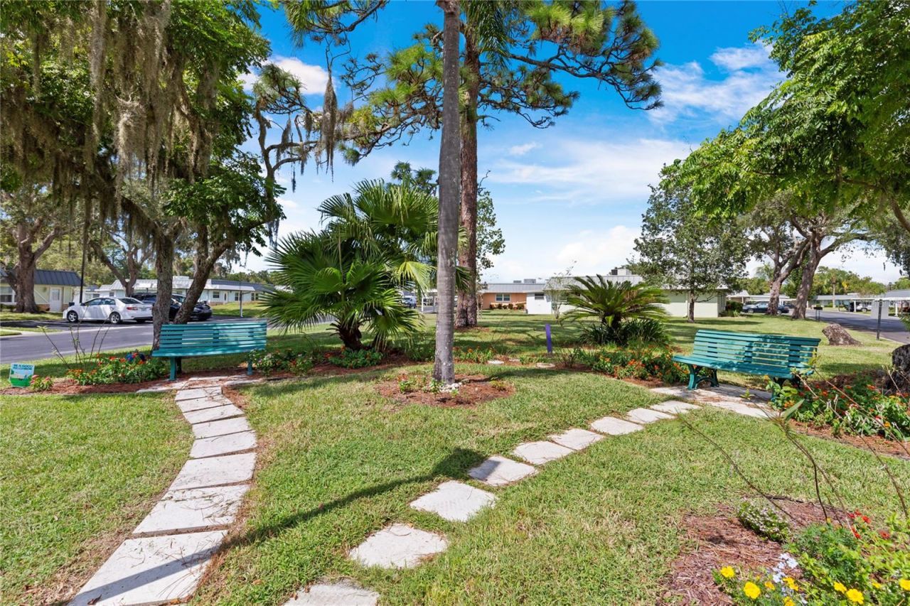 11730 Carissa Lane , New Port Richey, FL 34654 Photo
