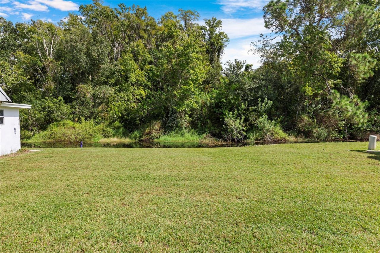 11730 Carissa Lane , New Port Richey, FL 34654 Photo