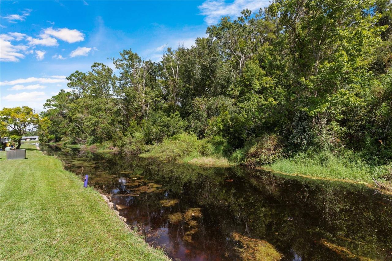 11730 Carissa Lane , New Port Richey, FL 34654 Photo