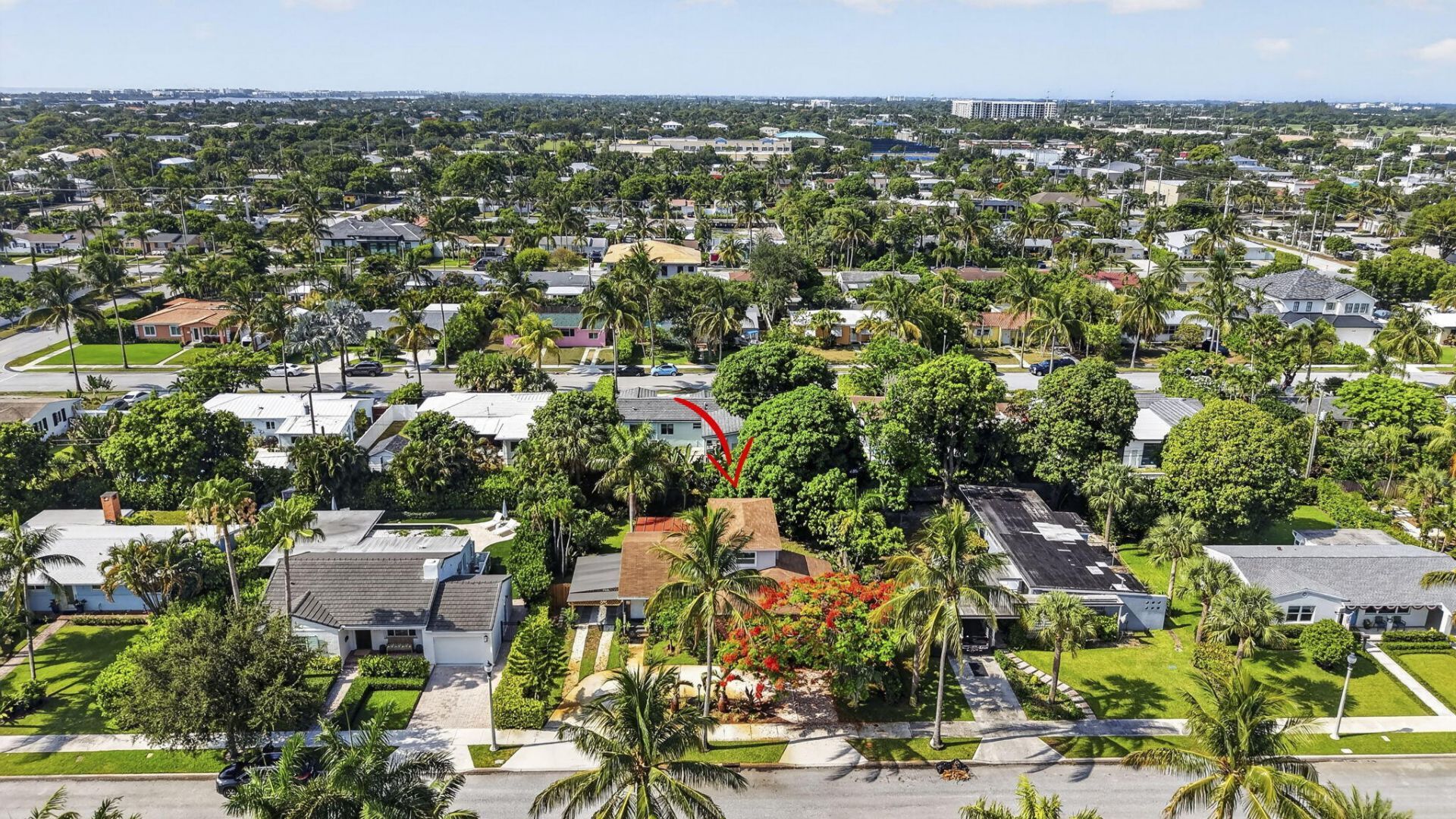 338 Hunter Street, West Palm Beach, FL 33405 Photo