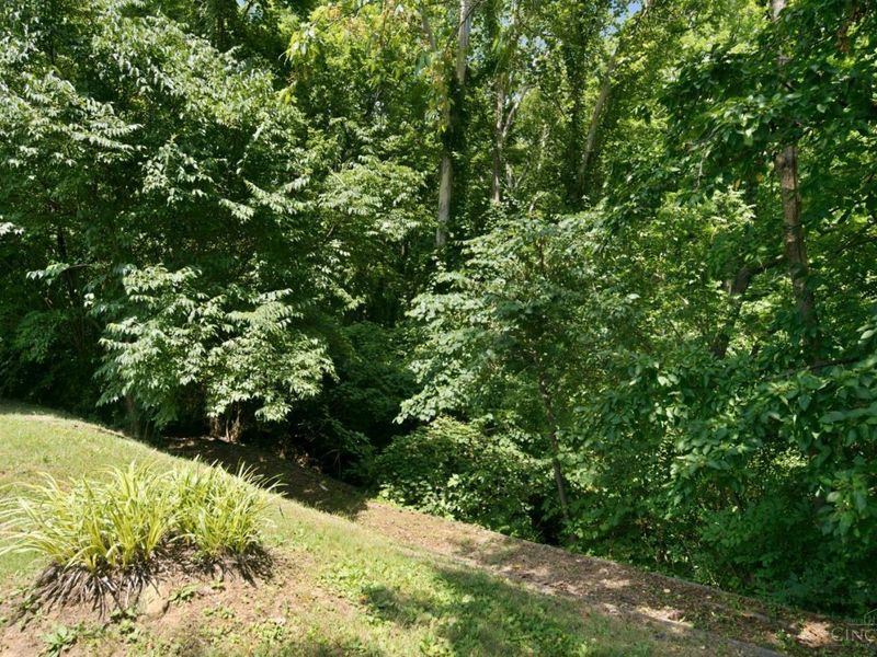 402 Crescent Court, Lebanon, OH 45036 Photo 43