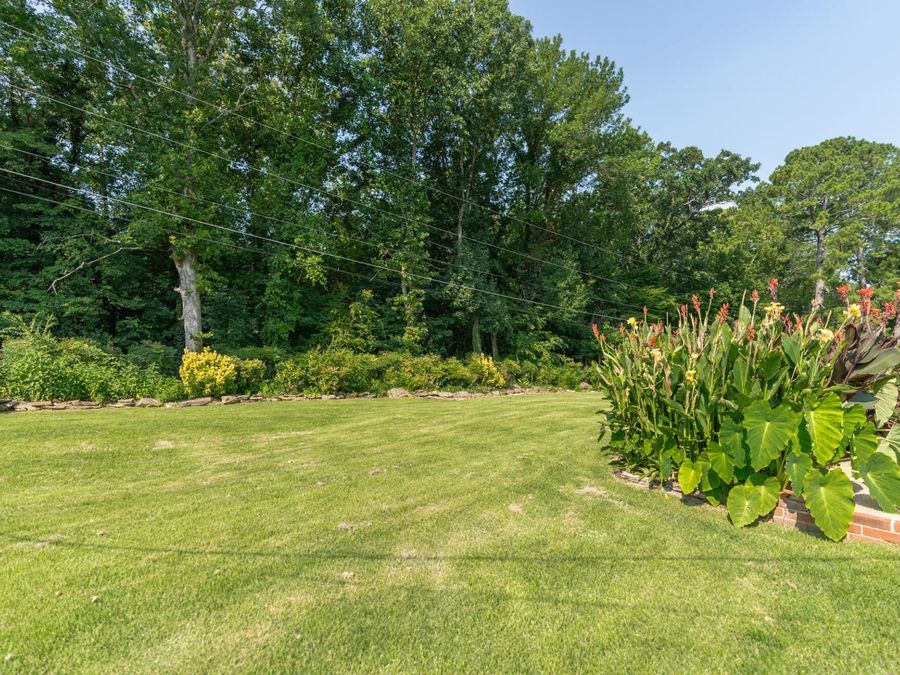 Property Image 62