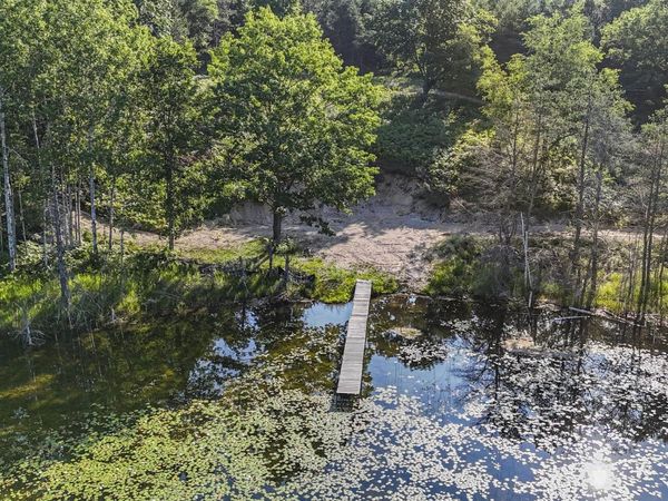 16963 Gray Heirs Road, Lake Ann, MI 49650