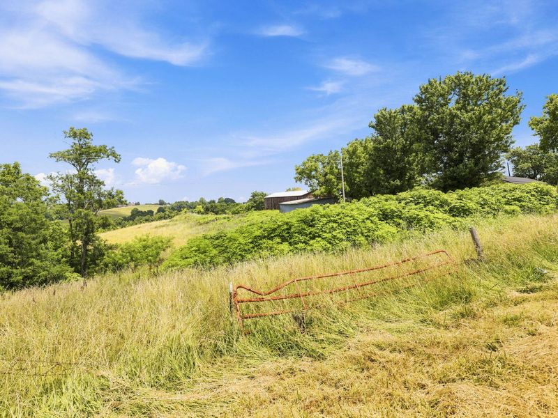 525 Chipman Ridge Road, Williamstown, KY 41097 Photo 39