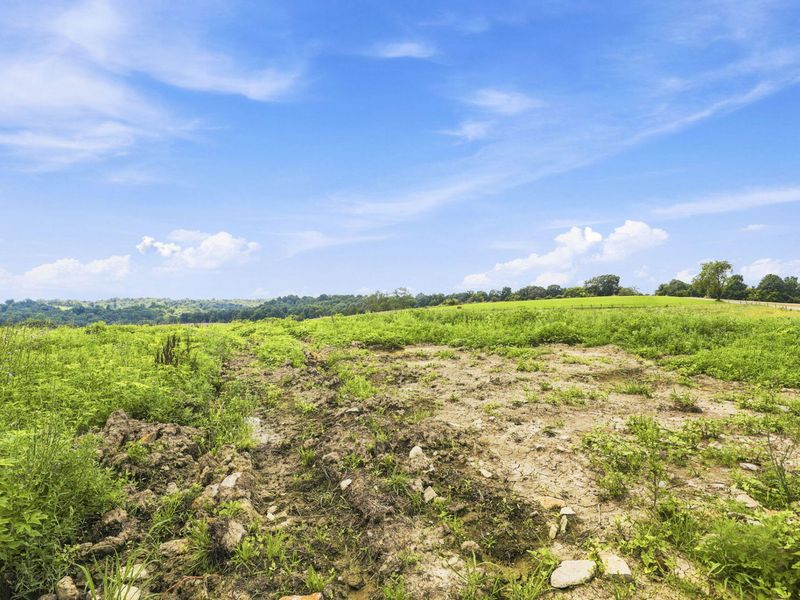 525 Chipman Ridge Road, Williamstown, KY 41097 Photo 40
