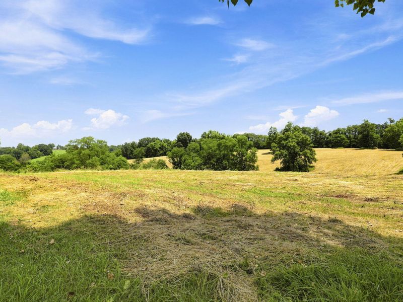 525 Chipman Ridge Road, Williamstown, KY 41097 Photo 41