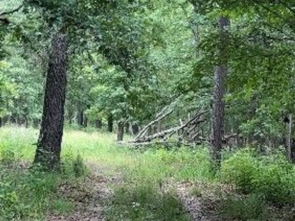 24550 Capps Ranches Road , Rogers, AR 72756