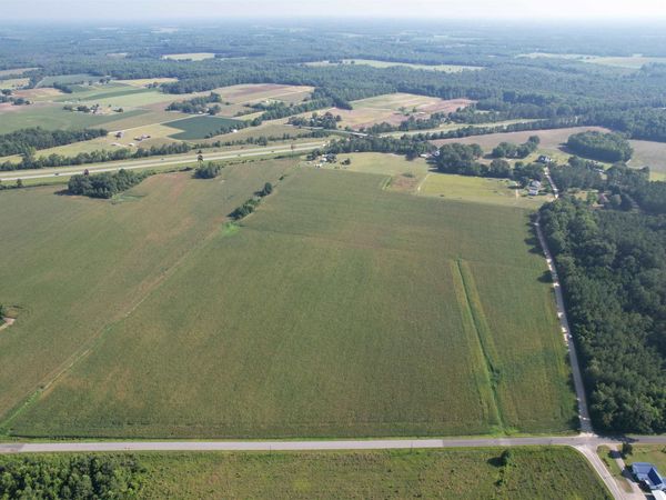 24.36 Acres - Newman Swamp Rd, Lamar, SC 29069
