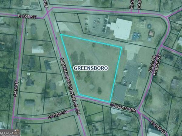 N/A Martin Luther King Drive, Greensboro, GA 30642