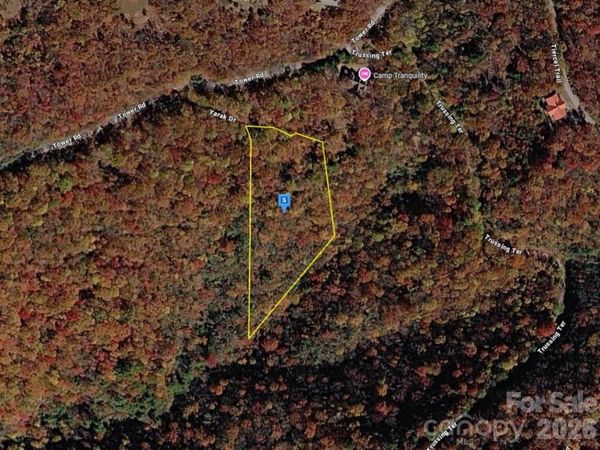1650 Tower Road , Sapphire, NC 28774