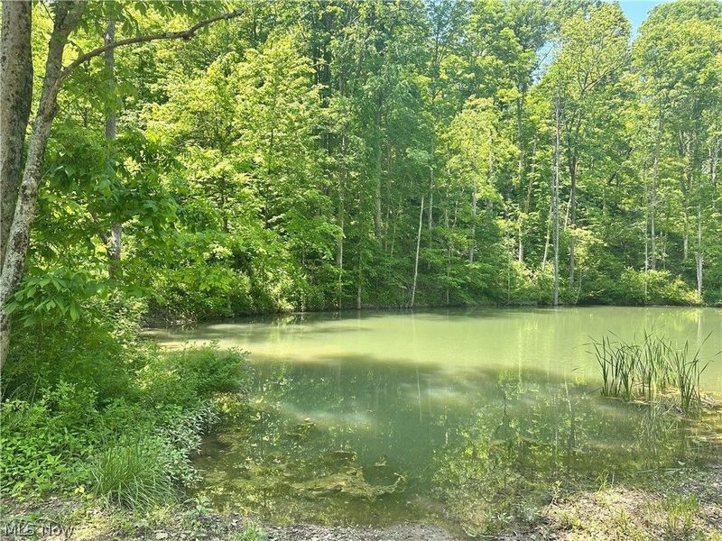 00001 Morton Hill Road, Stafford, OH 43786 Photo 41