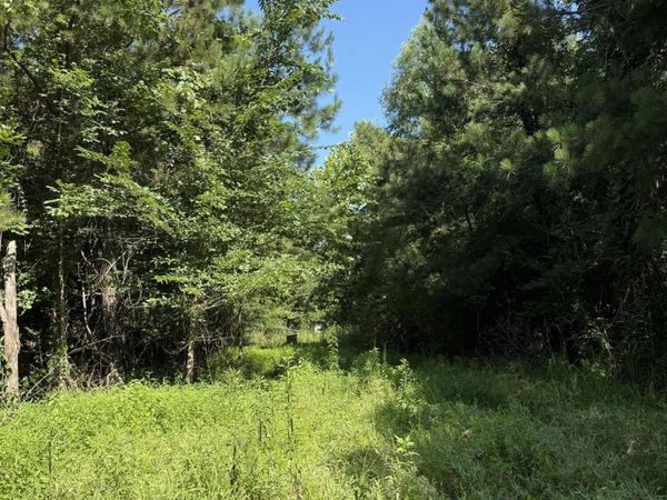 Winfry Road, Kilmichael, MS 39747