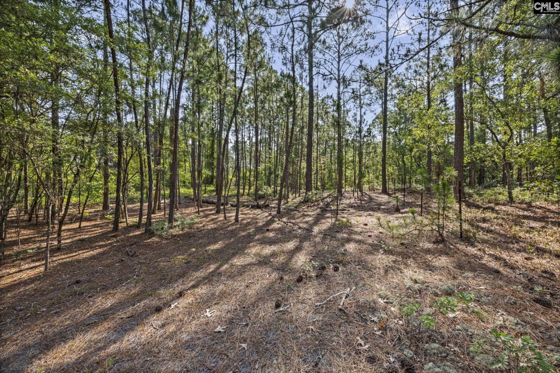 257 Rimrock Road Photo 8