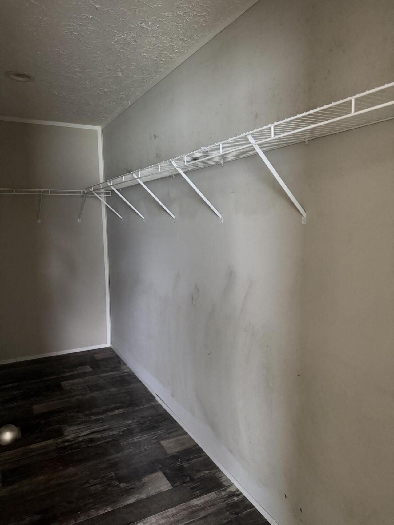 146 Whistletop Lane Photo 12