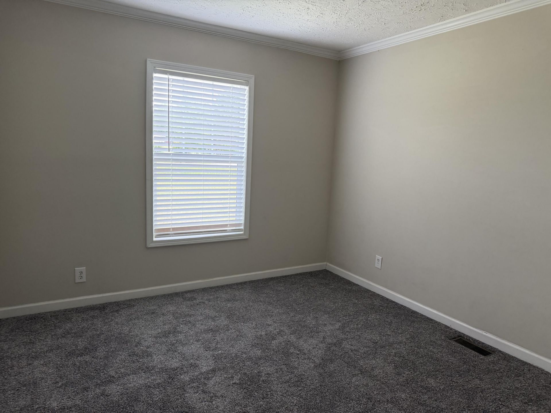 146 Whistletop Lane Photo 24