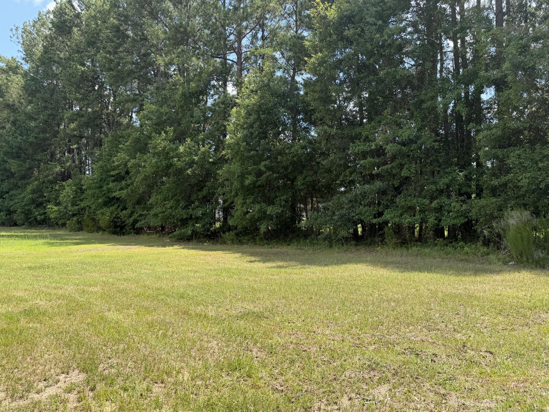 146 Whistletop Lane Photo 5