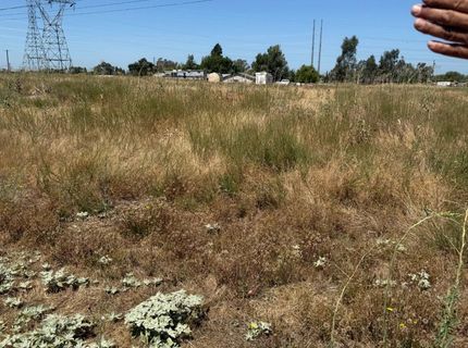 Los Garcias Ln, Elverta, CA 95626 Photo