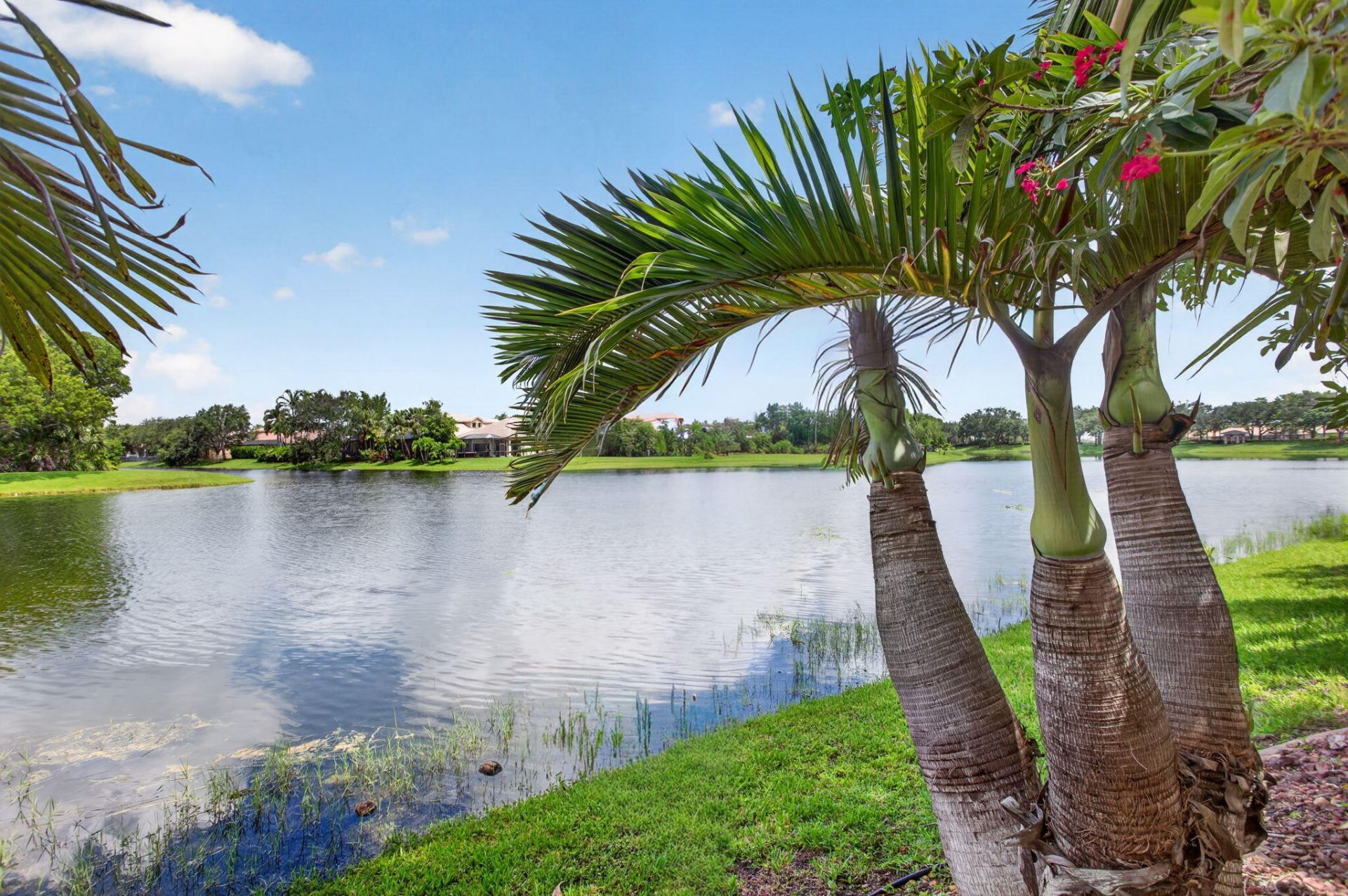 6443 NW 110th Avenue, Parkland, FL 33076 Photo