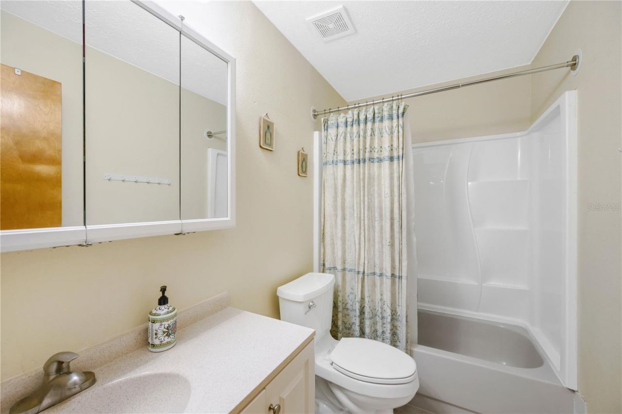 2109 Wheeler Oaks Drive, Brandon, FL 33510 Photo
