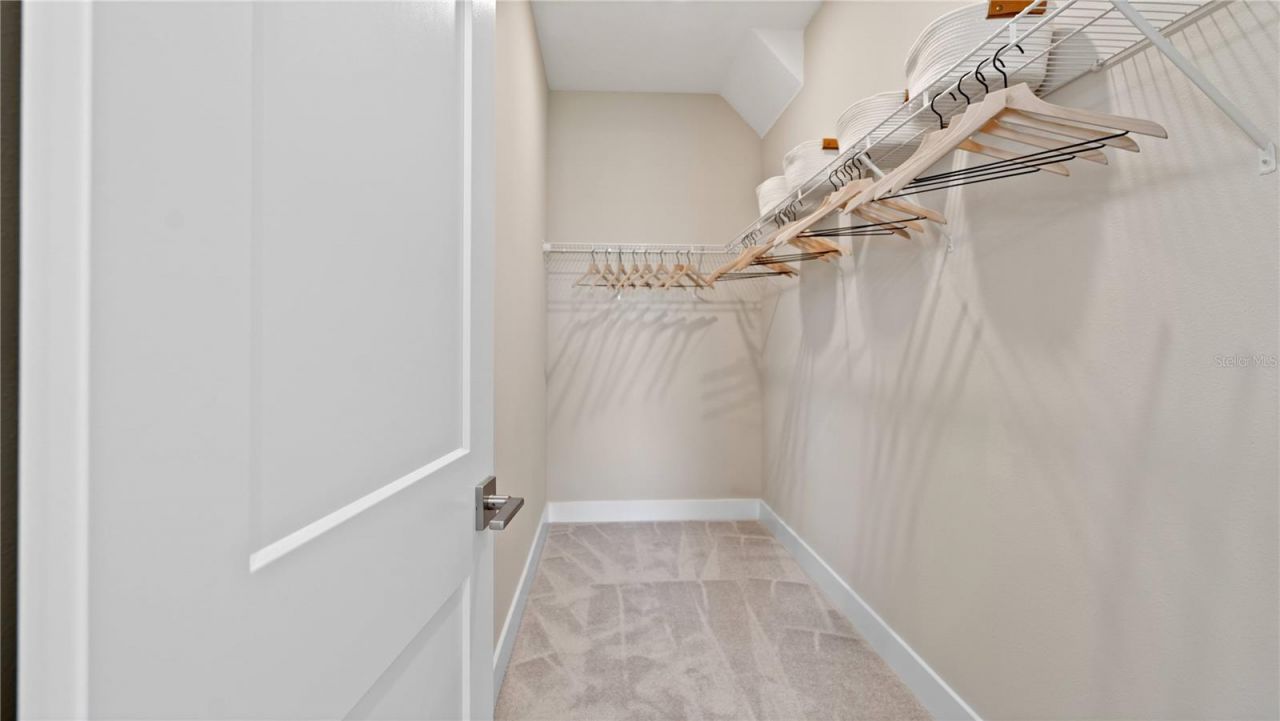 30237 Rustic Mill Street , Mount Dora, FL 32757 Photo
