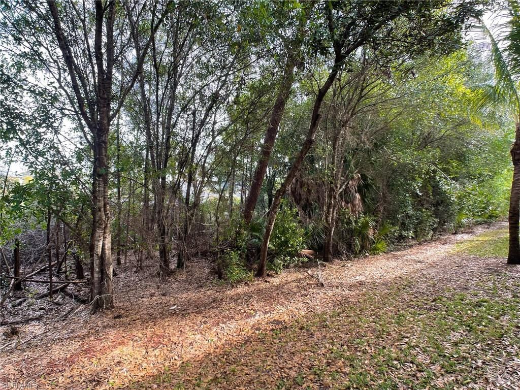 10302 Via Colomba Cir , Fort Myers, FL 33966 Photo