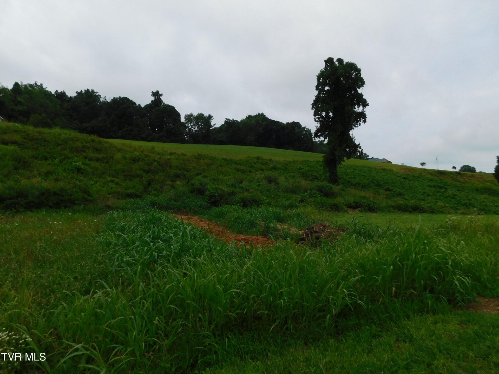 0 Mt Carmel Road, Mosheim, TN 37818 Main Photo