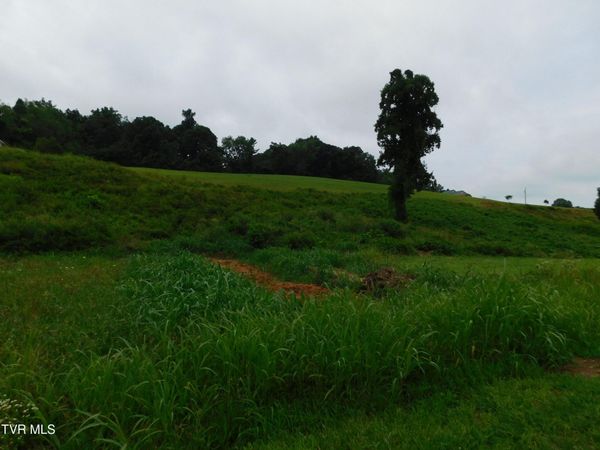 0 Mt Carmel Road, Mosheim, TN 37818