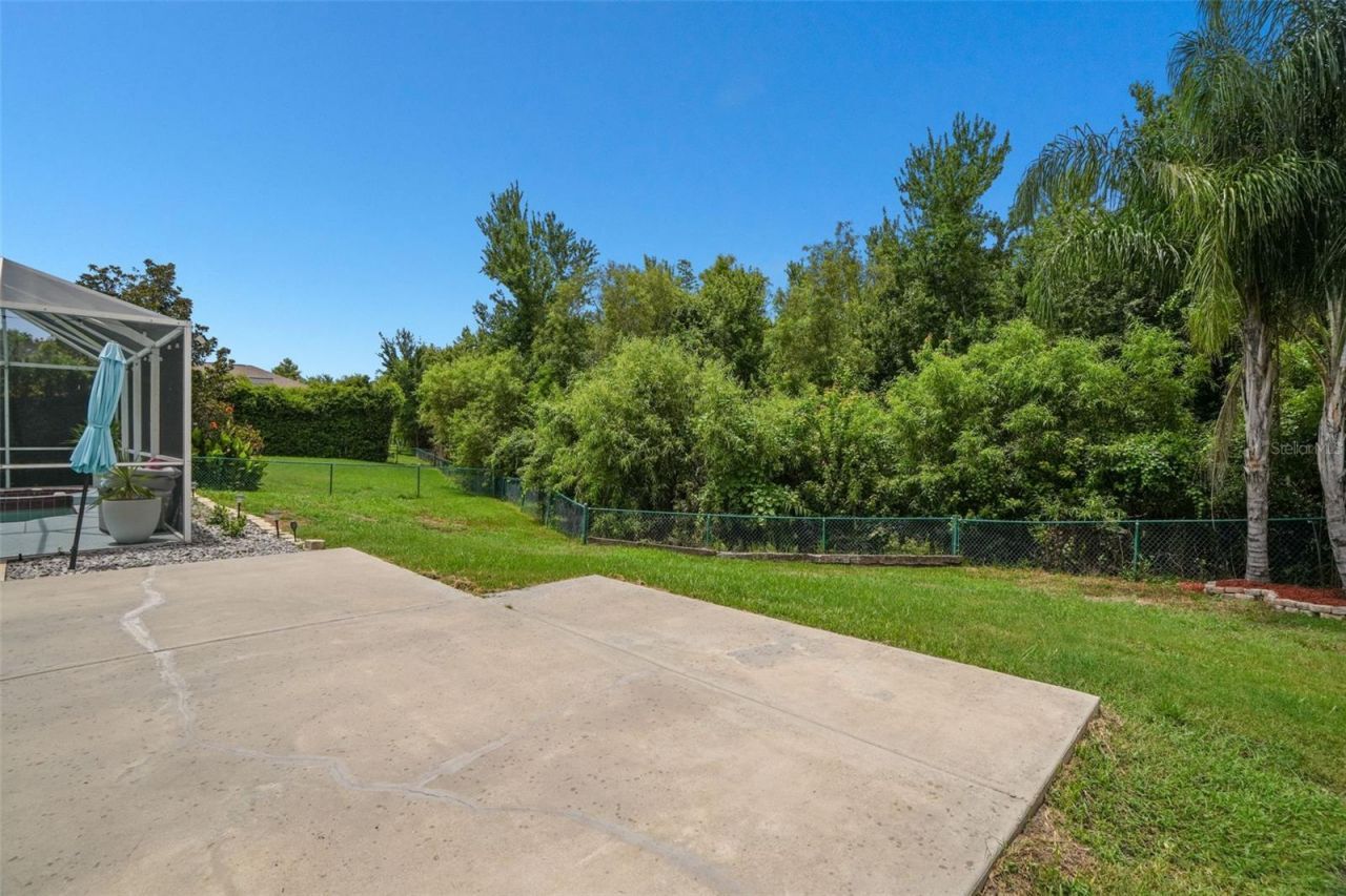 2117 Larkspur Court , Trinity, FL 34655 Photo