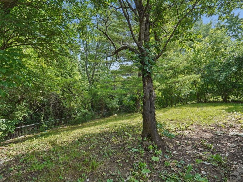 3622 Hollowwood Avenue, Columbus, OH 43223 Photo 6