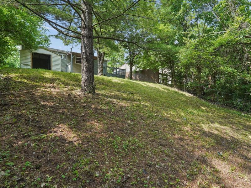 3622 Hollowwood Avenue, Columbus, OH 43223 Photo 7