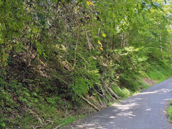 Lot 0005 Sugar Maple Loop Rd, Sevierville, TN 37862
