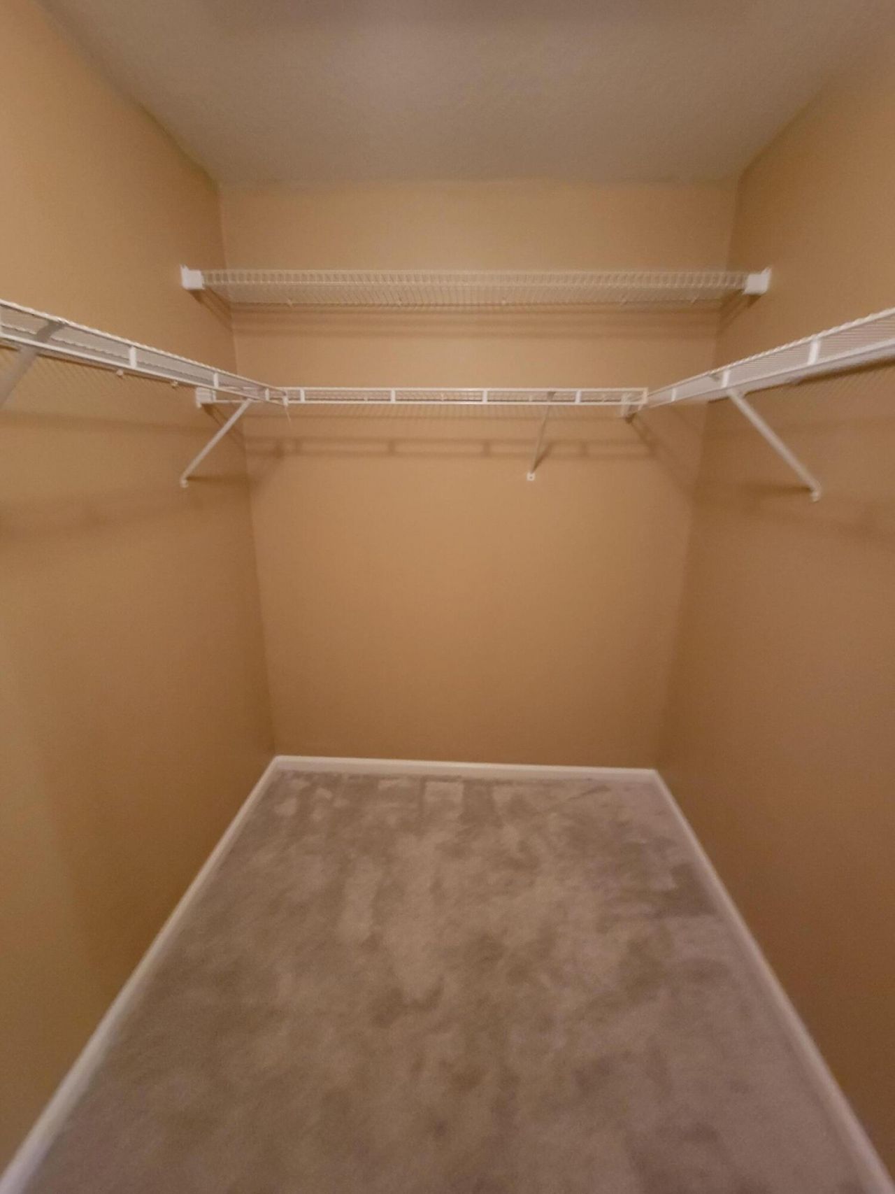 2775 Reston Street , Unit 101, Melbourne, FL 32935 Photo