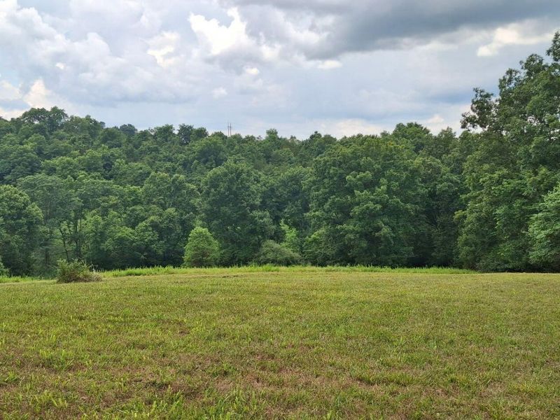 0 Tract 1 Cordova Road, Berry, KY 41003 Photo 4