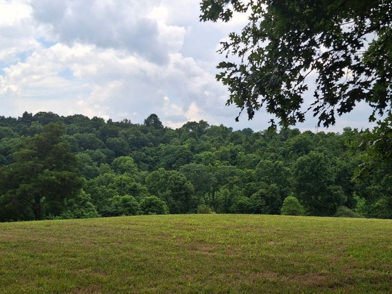 0 Tract 1 Cordova Road, Berry, KY 41003 Photo 6