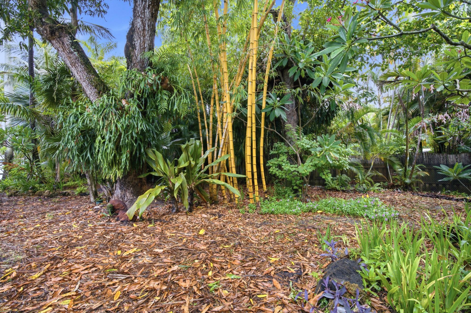 2151 SW 23rd Terrace, Fort Lauderdale, FL 33312 Photo