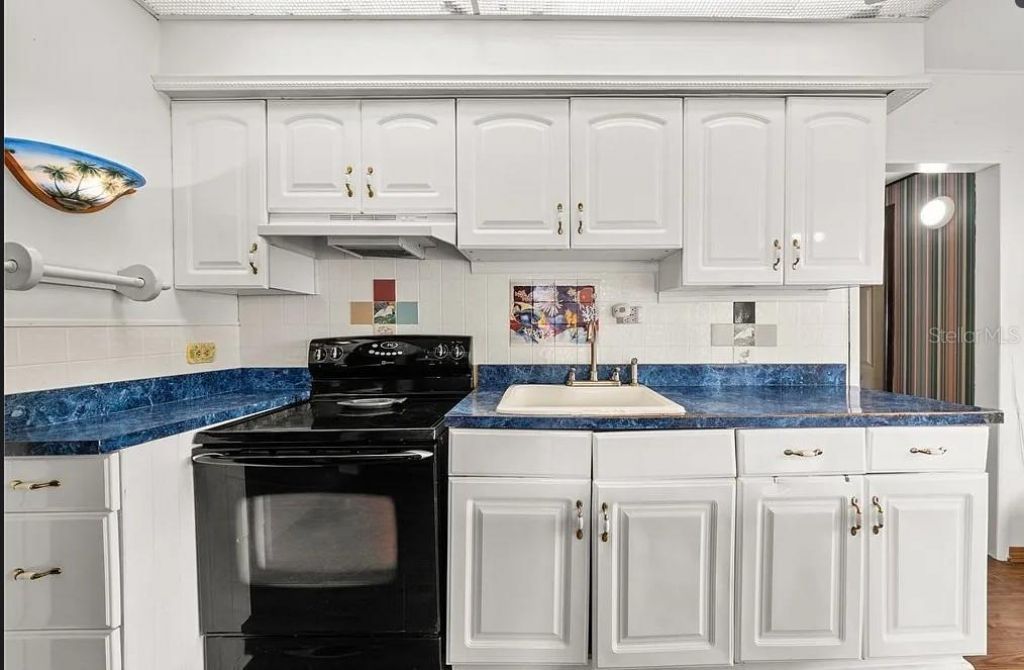 221 Speckled Perch Point , Lorida, FL 33857 Photo