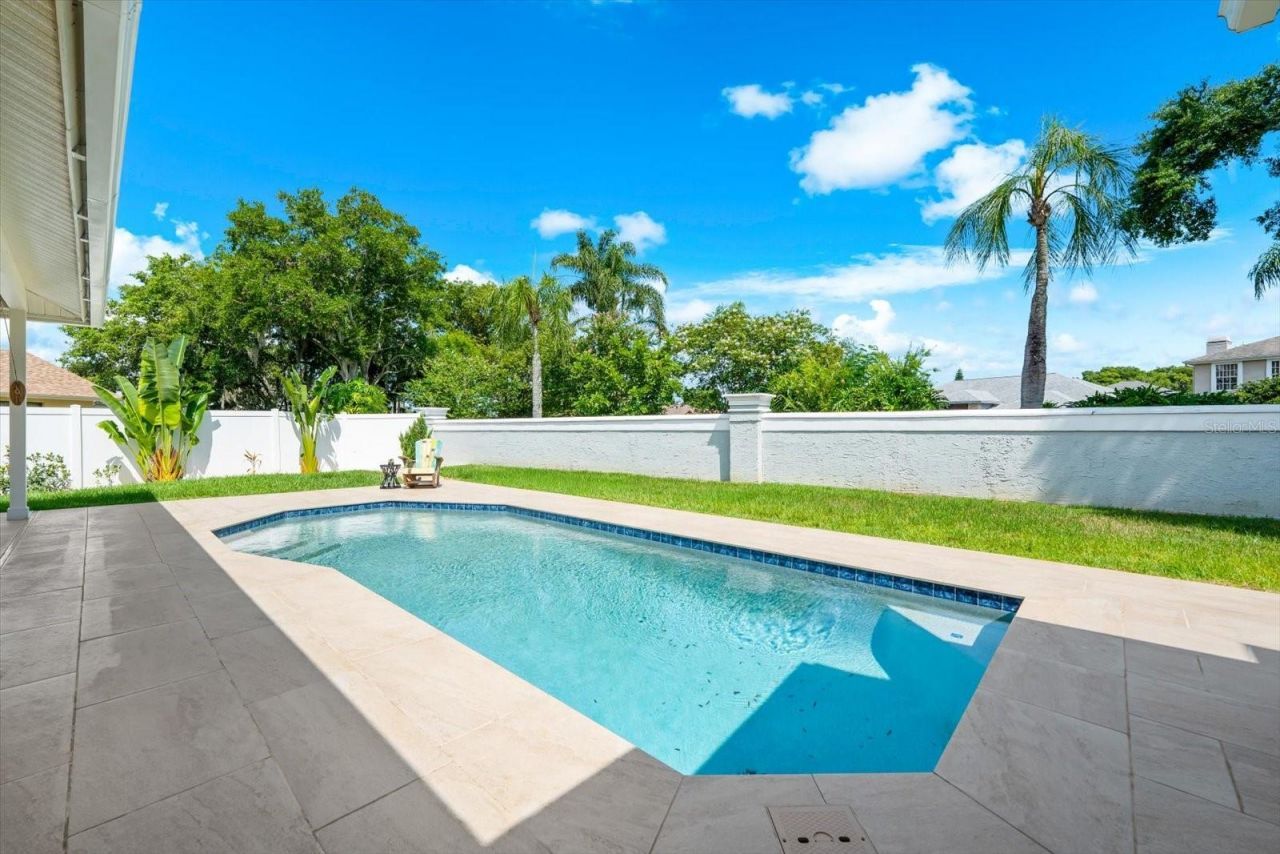 1874 Stable Trail, Palm Harbor, FL 34685 Photo