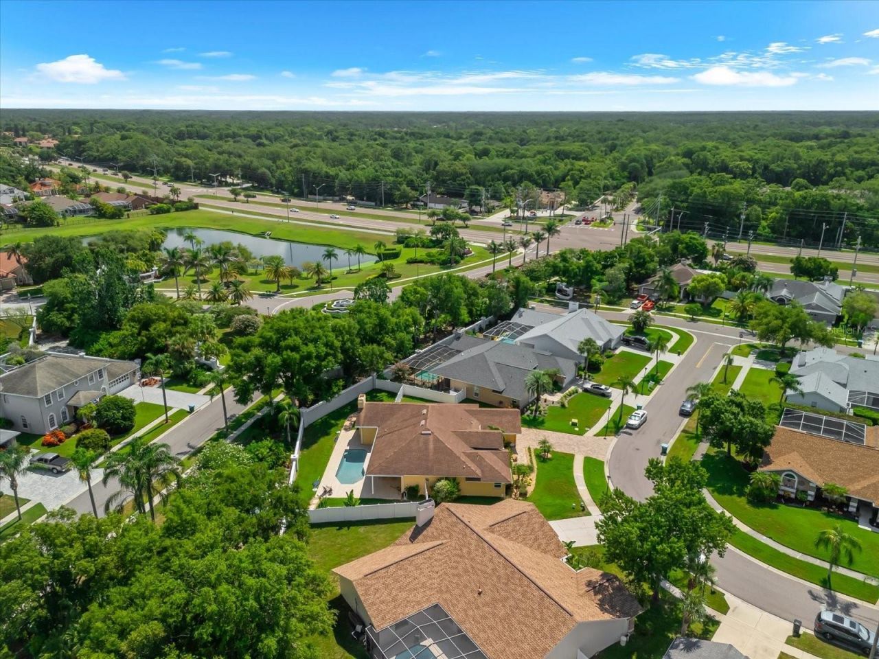1874 Stable Trail, Palm Harbor, FL 34685 Photo