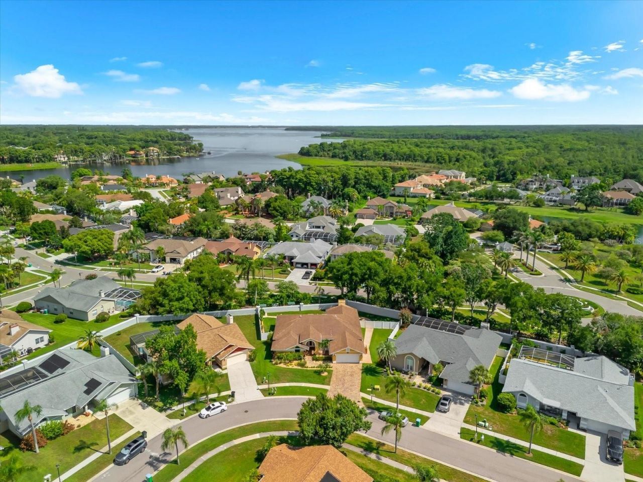 1874 Stable Trail, Palm Harbor, FL 34685 Photo