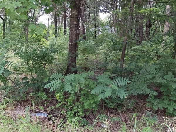 4185 Oakwood Road, Merriam Woods, MO 65740