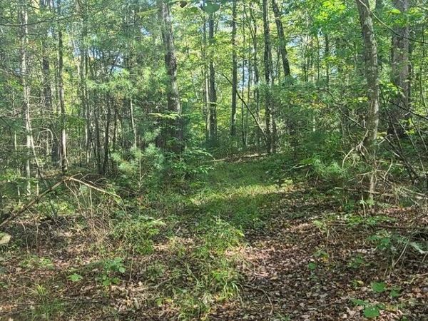 Hannah Davidson Rd, Sunbright, TN 37872