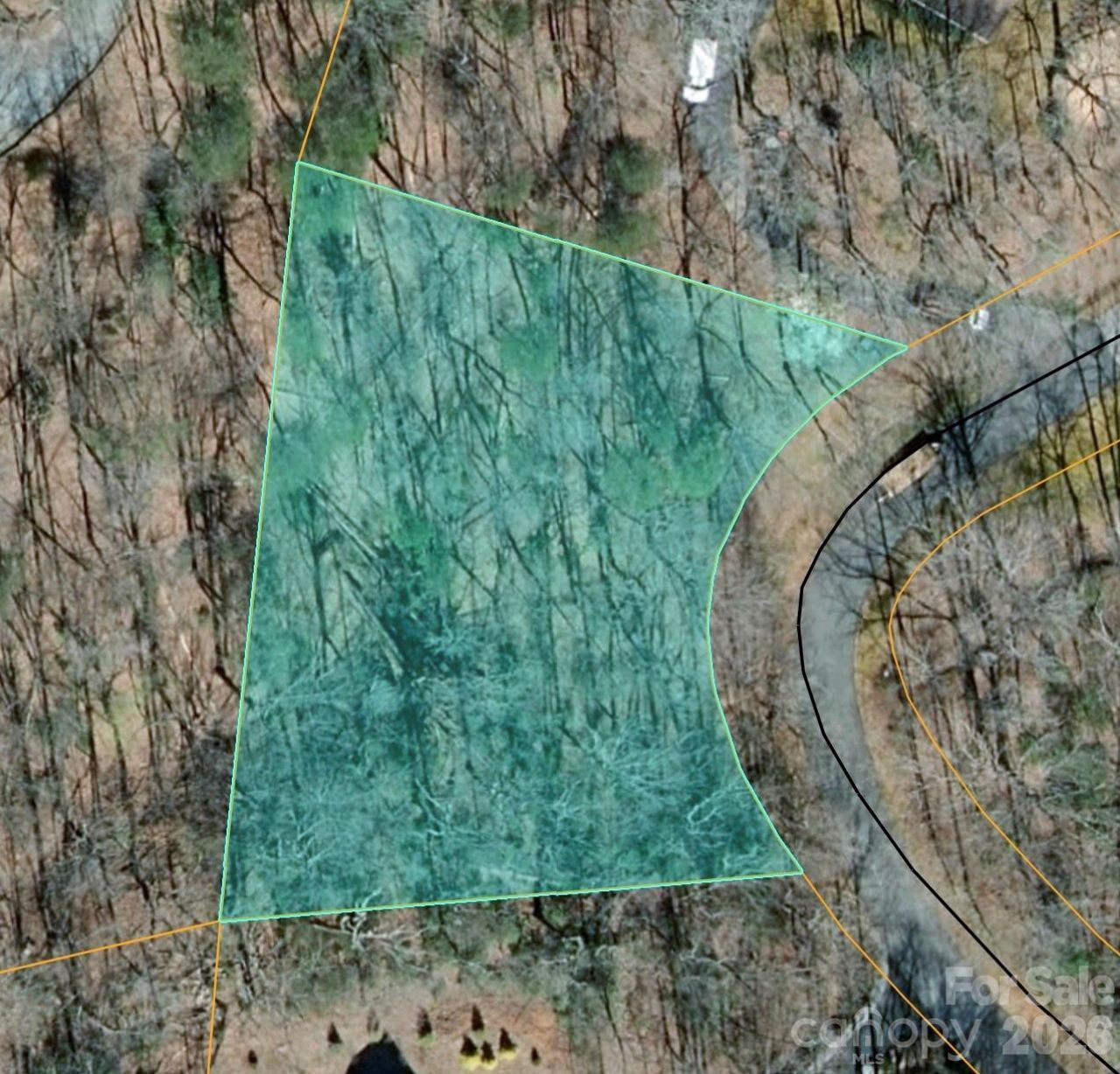 0000 Duck Pond Lane, Columbus, NC 28722 Main Photo